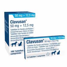antibiotic Clavusan
