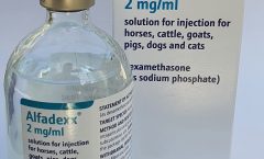 antiinflamator Alfadexx